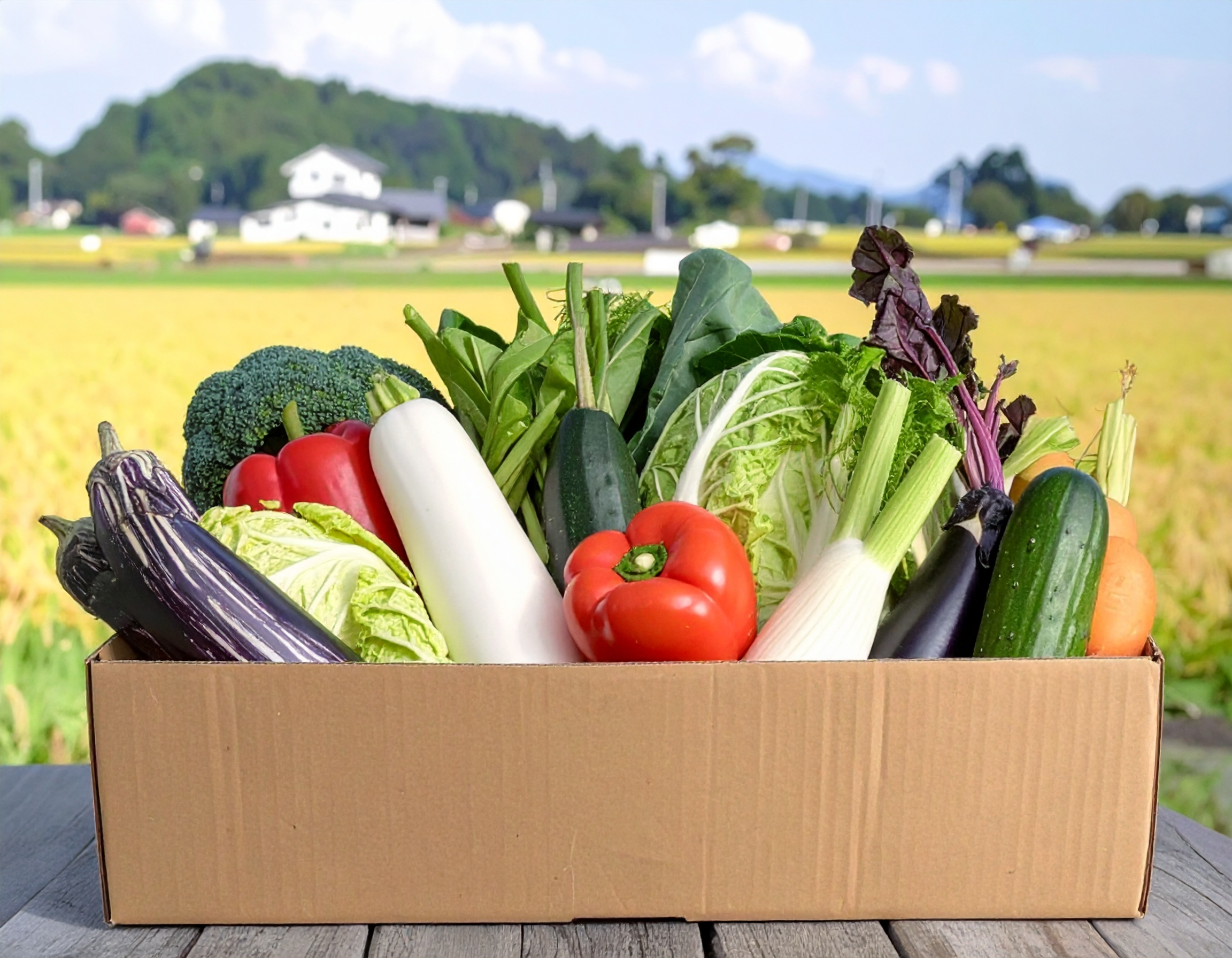 安心安全なオーガニック農作物