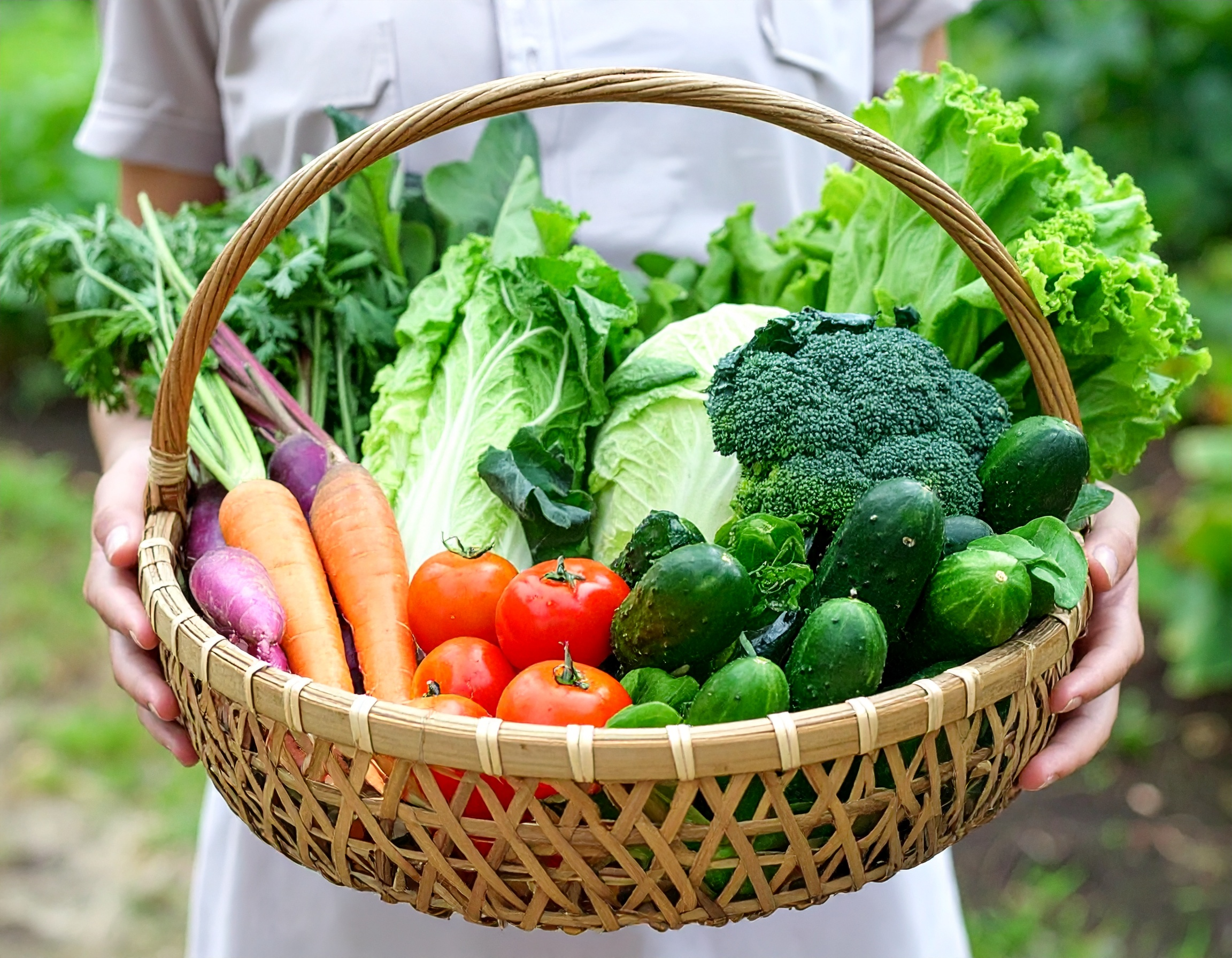 たくさんの旬な野菜との出会い