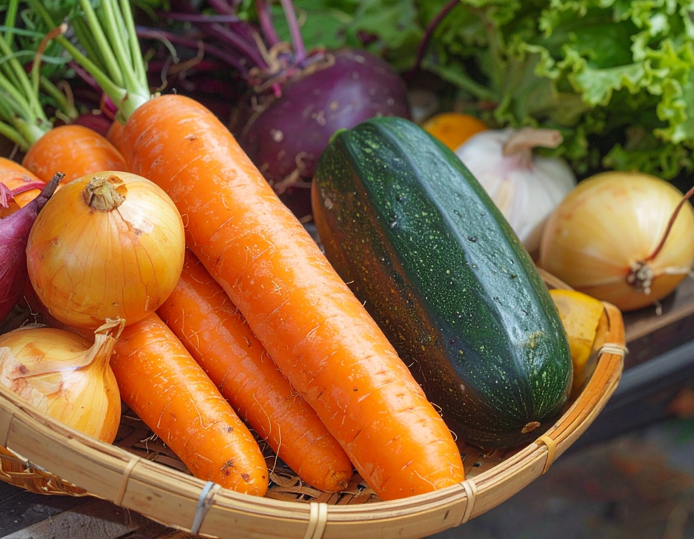 旬＊お試し野菜セット(6品目)